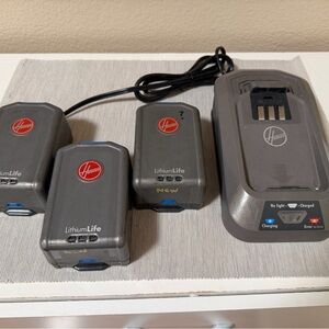 Hoover LithiumLife Battery Set with Charger